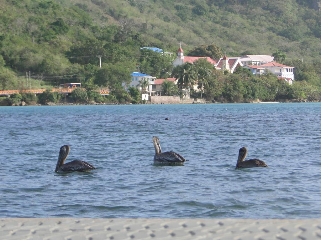 Posada Sunshine Paradise Providencia Island Екстер'єр фото