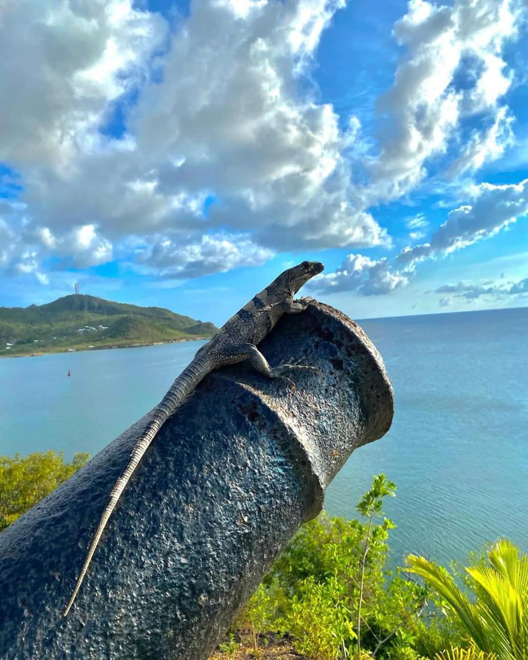 Posada Sunshine Paradise Providencia Island Екстер'єр фото