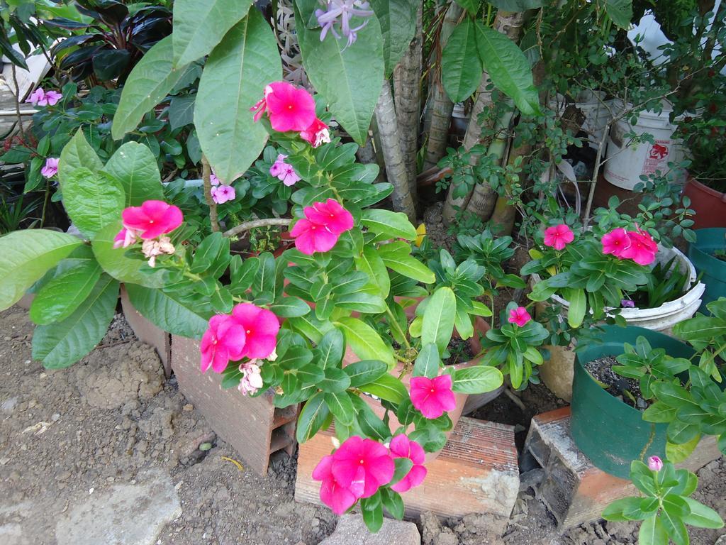 Posada Sunshine Paradise Providencia Island Екстер'єр фото
