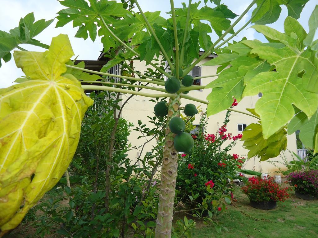 Posada Sunshine Paradise Providencia Island Екстер'єр фото
