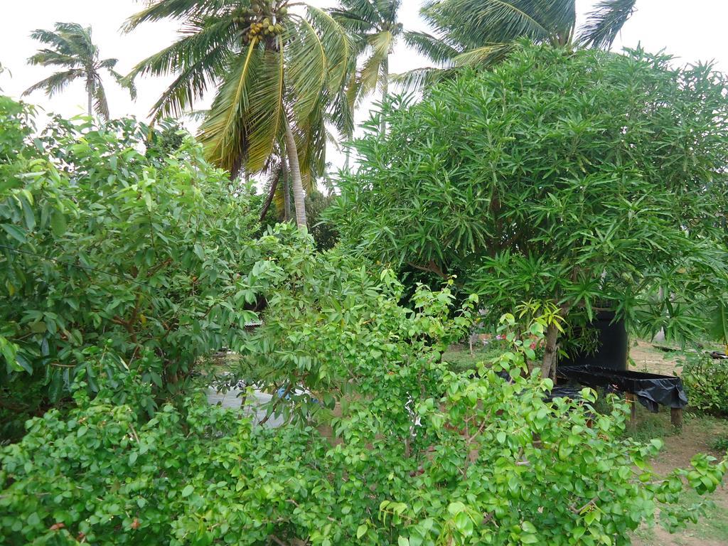 Posada Sunshine Paradise Providencia Island Екстер'єр фото
