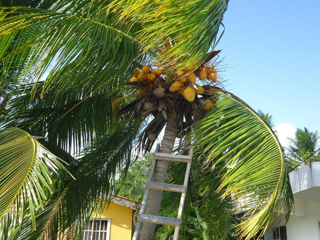 Posada Sunshine Paradise Providencia Island Екстер'єр фото